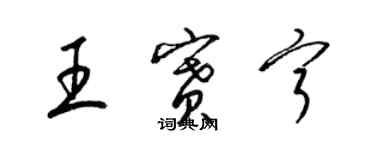 梁錦英王賽寧草書個性簽名怎么寫