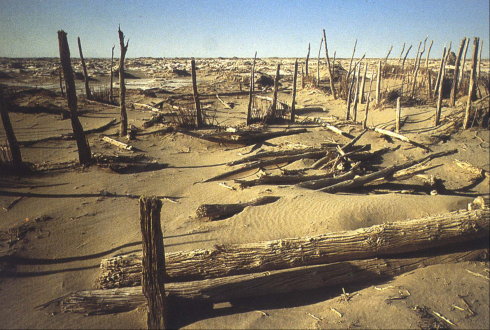 樓蘭古國為什麼會消失 樓蘭古國消失成為“曠世之憾”