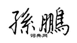 王正良孫鵬行書個性簽名怎么寫