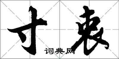 胡問遂寸衷行書怎么寫