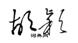 駱恆光胡穎草書個性簽名怎么寫