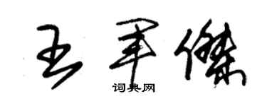 朱錫榮王軍傑草書個性簽名怎么寫