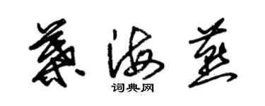 朱錫榮葉海燕草書個性簽名怎么寫