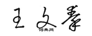 駱恆光王文秦草書個性簽名怎么寫