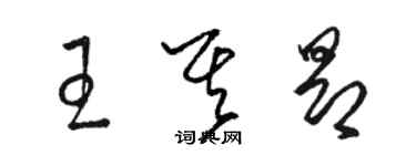 駱恆光王其昂草書個性簽名怎么寫