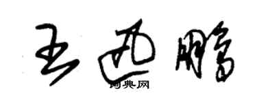 朱錫榮王迅鵬草書個性簽名怎么寫