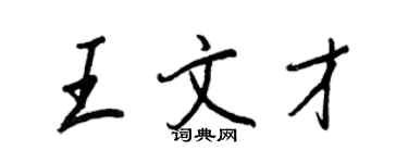 王正良王文才行書個性簽名怎么寫