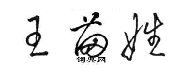 駱恆光王苗娃草書個性簽名怎么寫