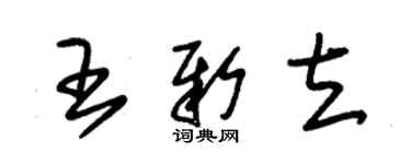 朱錫榮王新立草書個性簽名怎么寫