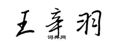 王正良王辛羽行書個性簽名怎么寫