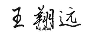 駱恆光王翔遠行書個性簽名怎么寫