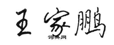 駱恆光王家鵬行書個性簽名怎么寫