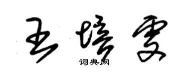 朱錫榮王培雯草書個性簽名怎么寫