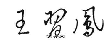 駱恆光王習鳳草書個性簽名怎么寫