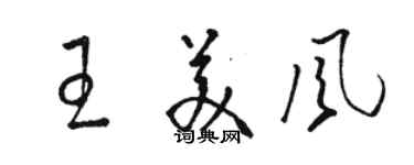 駱恆光王美風草書個性簽名怎么寫