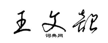 梁錦英王文韶草書個性簽名怎么寫