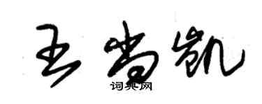 朱錫榮王尚凱草書個性簽名怎么寫