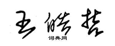 朱錫榮王皓哲草書個性簽名怎么寫