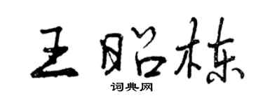 曾慶福王昭棟行書個性簽名怎么寫