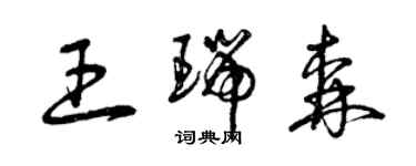 曾慶福王瑞森草書個性簽名怎么寫