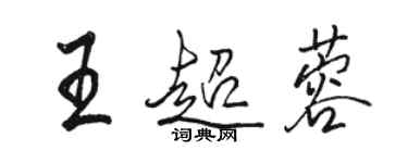 駱恆光王超蓉行書個性簽名怎么寫