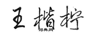 駱恆光王楷檸行書個性簽名怎么寫