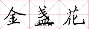 侯登峰金盞花楷書怎么寫