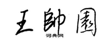 王正良王帥園行書個性簽名怎么寫