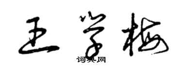 曾慶福王學梅草書個性簽名怎么寫