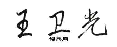 駱恆光王衛光行書個性簽名怎么寫