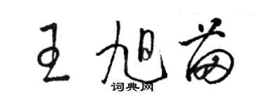 駱恆光王旭苗草書個性簽名怎么寫