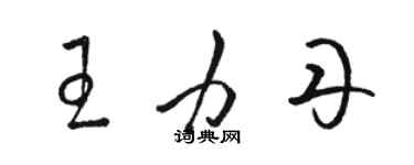 駱恆光王力丹草書個性簽名怎么寫