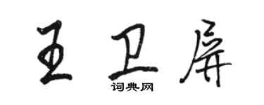 駱恆光王衛屏行書個性簽名怎么寫