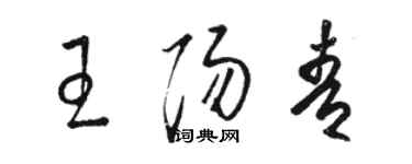 駱恆光王陽青草書個性簽名怎么寫