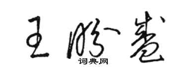 駱恆光王盼盛草書個性簽名怎么寫