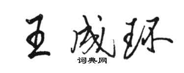 駱恆光王成環行書個性簽名怎么寫