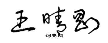 曾慶福王晴剛草書個性簽名怎么寫