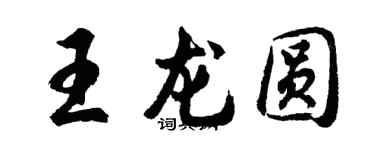 胡問遂王龍圓行書個性簽名怎么寫