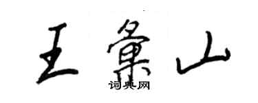 王正良王匯山行書個性簽名怎么寫