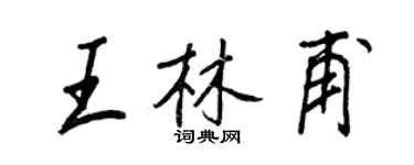 王正良王林甫行書個性簽名怎么寫