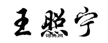 胡問遂王照寧行書個性簽名怎么寫