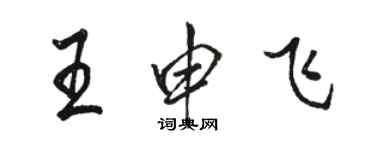 駱恆光王申飛行書個性簽名怎么寫