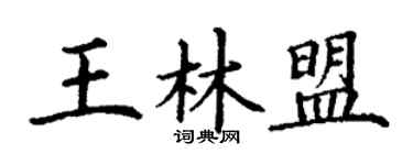 丁謙王林盟楷書個性簽名怎么寫