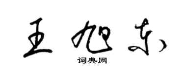 梁錦英王旭東草書個性簽名怎么寫