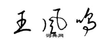 梁錦英王風鳴草書個性簽名怎么寫