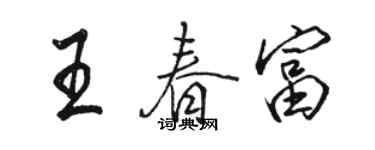 駱恆光王春富行書個性簽名怎么寫