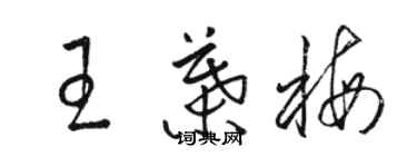 駱恆光王葉梅草書個性簽名怎么寫