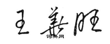 駱恆光王華旺草書個性簽名怎么寫