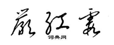 梁錦英嚴紅霞草書個性簽名怎么寫