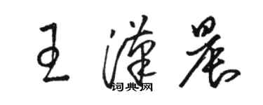 駱恆光王漢晨草書個性簽名怎么寫
